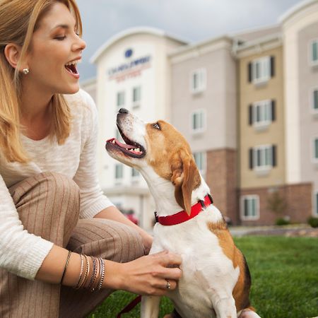 Sonesta Simply Suites Dallas Richardson Ngoại thất bức ảnh