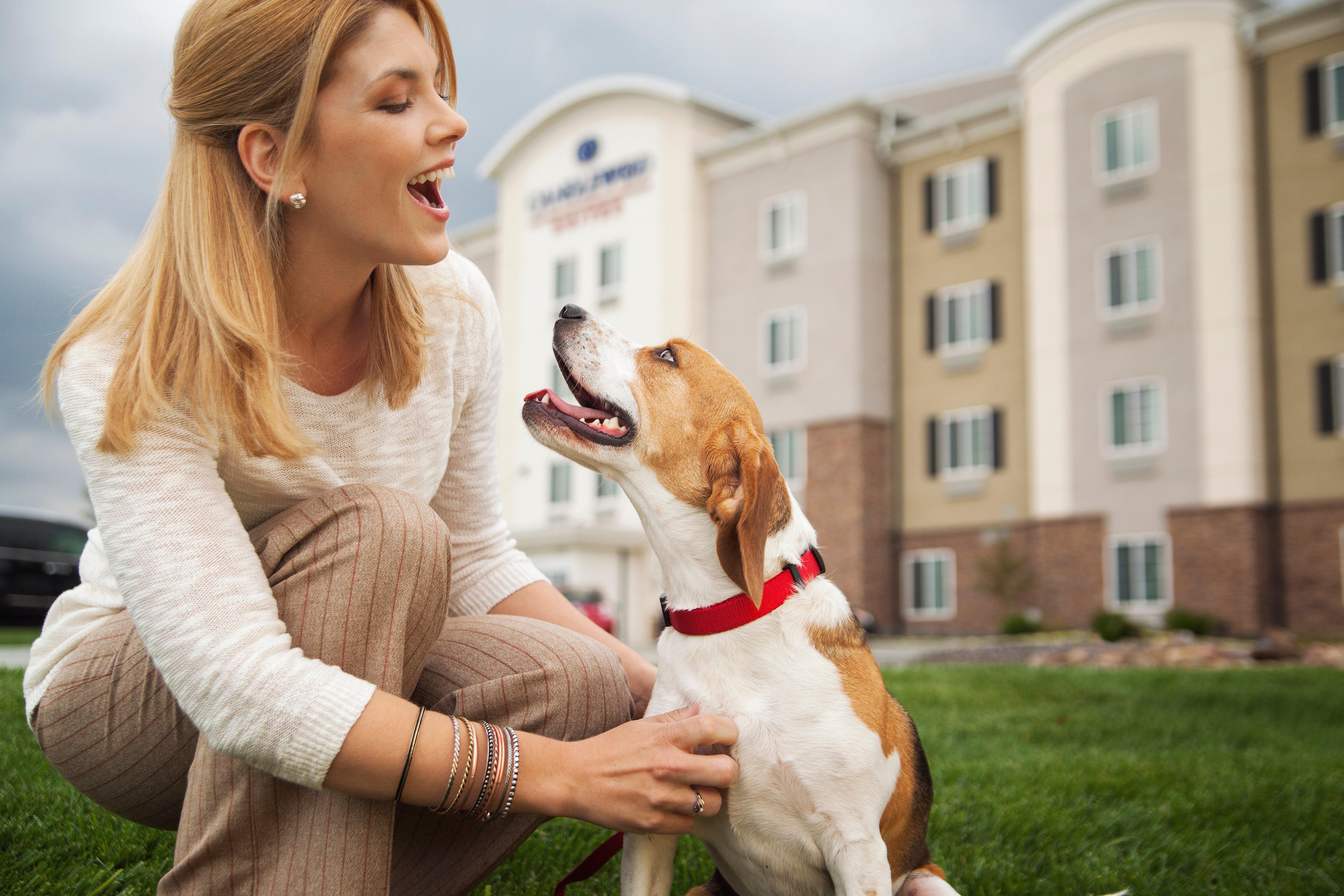 Sonesta Simply Suites Dallas Richardson Ngoại thất bức ảnh