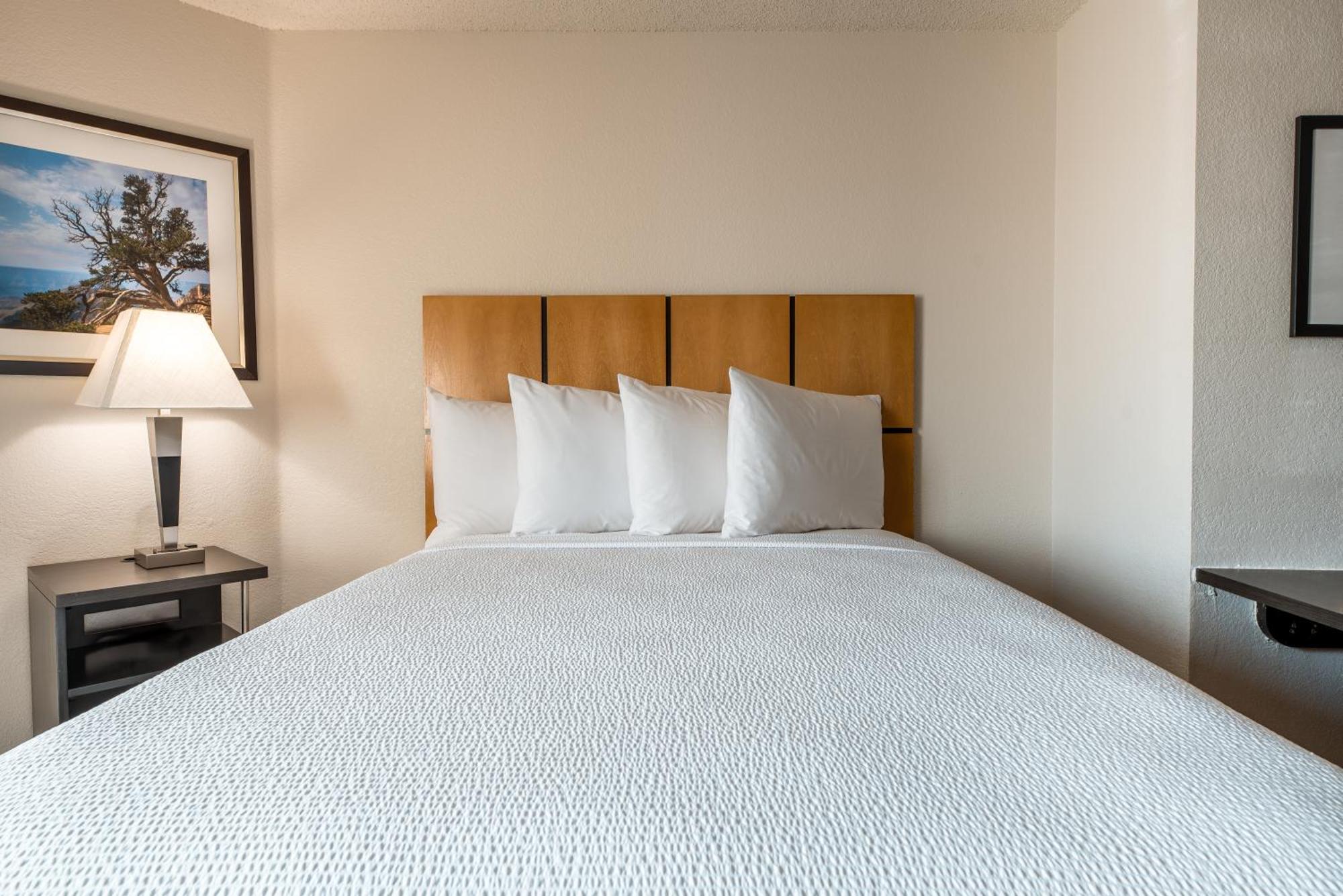 Sonesta Simply Suites Dallas Richardson Ngoại thất bức ảnh